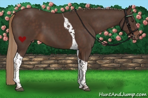 Horse Color:Liver Chestnut Tobiano 
