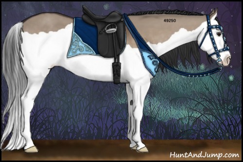 Horse Color:Brown Dun Splash 