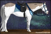 Horse Color:Brown Dun Splash 