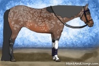 Horse Color:Bay Ice 