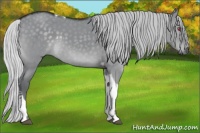Horse Color:Silver Grullo Chinchilla Tobiano 
