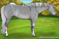 Horse Color:Silver Grullo Chinchilla Tobiano 