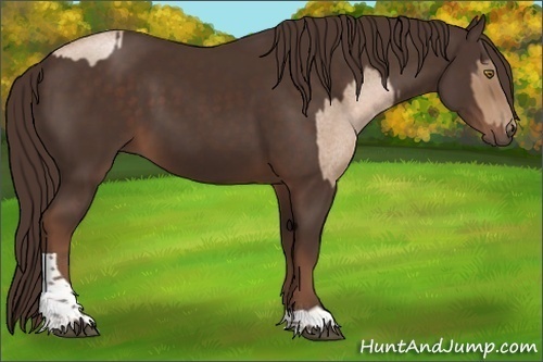 Horse Color:Liver Red Roan Pearl Tobiano and Liver Chestnut Tobiano