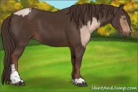 Horse Color:Liver Red Roan Pearl Tobiano  and Liver Chestnut Tobiano 