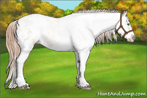 Horse Color:Classic Champagne Pearl Sabino