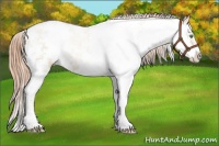 Horse Color:Classic Champagne Pearl Sabino