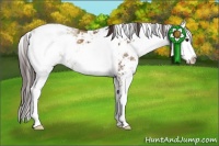 Horse Color:Classic Champagne Sabino