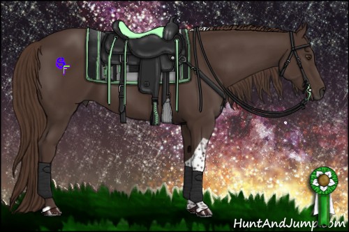 Horse Color:Liver Chestnut Tobiano 