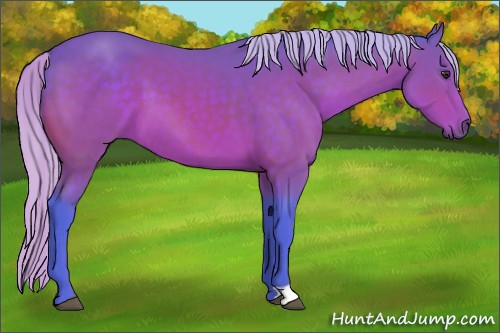 Horse Color:Watercolor Silver Brown