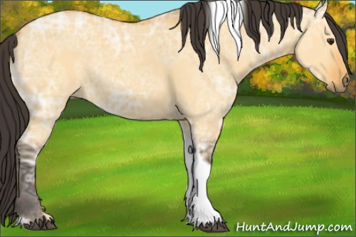 Horse Color:Buckskin Ice Dun Tobiano