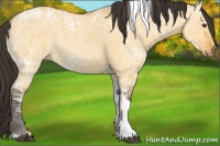 Horse Color:Buckskin Ice Dun Tobiano 