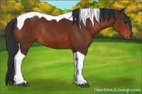 Horse Color:Brown Tobiano Rabicano