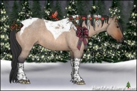 Horse Color:Bay Roan Dun Tobiano