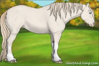 Horse Color:Smoky Creme Dun Tobiano