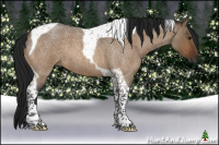 Horse Color:Gray Bay Roan Dun Tobiano 