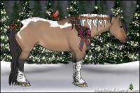 Horse Color:Bay Roan Dun Tobiano 