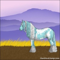 Horse Color:Watercolor White Spotted Black 