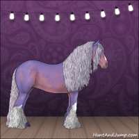 Horse Color:Watercolor Silver Black