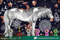 Horse Color:Silver Bay Chinchilla Sabino Tobiano Rabicano 