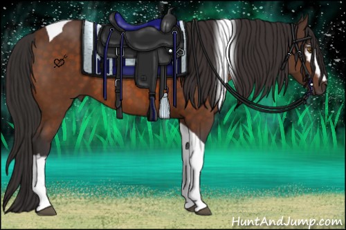 Horse Color:White Spotted Buckskin Tobiano 