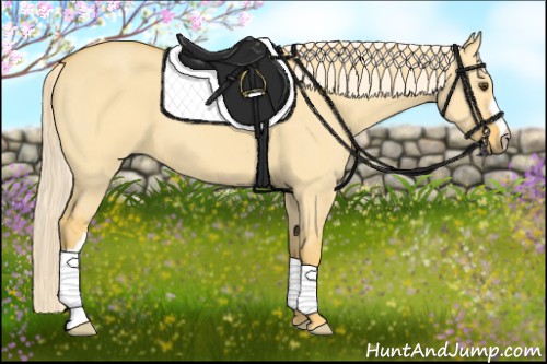 Horse Color:Palomino Dun