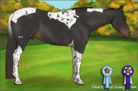 Horse Color:Liver Chestnut Tobiano 