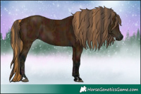 Horse Color:Midnight Chestnut  and Midnight Bay 