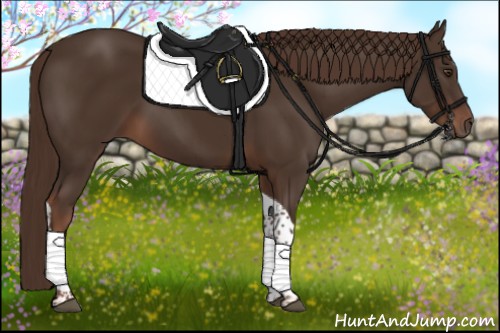 Horse Color:Liver Chestnut Tobiano 