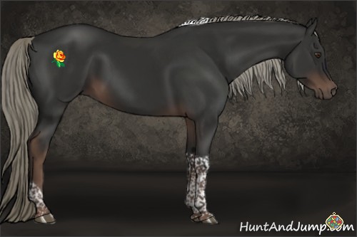 Horse Color:Liver Chestnut Tobiano 