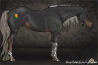 Horse Color:Liver Chestnut Tobiano 