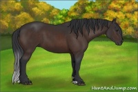 Horse Color:Brown 