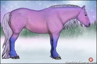 Horse Color:Watercolor Silver Brown Dun 