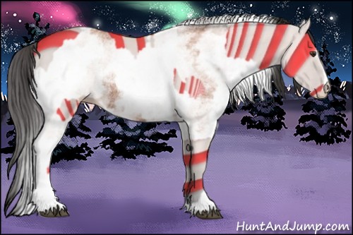 Horse Color:Bay Sabino Rabicano and White Spotted Bay Rabicano