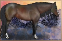 Horse Color:Brown Sabino 