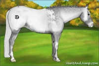 Horse Color:Silver Blue Onyx Chinchilla Roan Snowcap