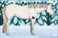 Horse Color:Smoky Creme Roan Dun 