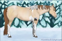 Horse Color:Brown Pearl Dun Sabino Tobiano