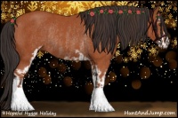 Horse Color:Bay Sabino Rabicano  and Bay Sabino Rabicano 