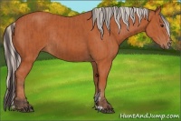 Horse Color:Bay Sabino Rabicano  and Silver Bay Sabino Rabicano 