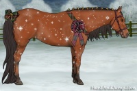 Horse Color:Bay Sabino Rabicano and Bay Sabino Rabicano