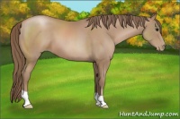 Horse Color:Black Pearl 