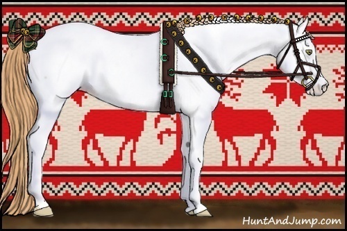 Horse Color:Gold Champagne Roan Appaloosa