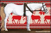 Horse Color:Gold Champagne Roan Appaloosa 