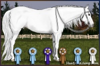 Horse Color:Gray Bay Rabicano