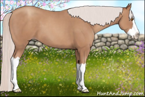 Horse Color:Silver Classic Champagne Splash