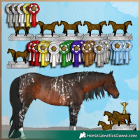 Horse Color:Gray Bay Tobiano Rabicano  and Gray Bay Rabicano 