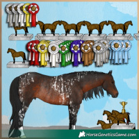 Horse Color:Gray Bay Tobiano Rabicano  and Gray Bay Rabicano 