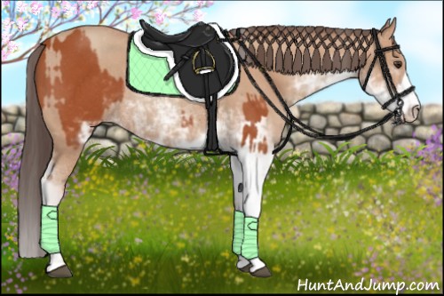 Horse Color:Bay Sabino Rabicano and Amber Champagne Sabino Rabicano