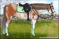 Horse Color:Bay Sabino Rabicano and Amber Champagne Sabino Rabicano