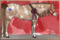 Horse Color:White Spotted Liver Chestnut Pearl Rabicano  and White Spotted Black Pearl Rabicano 